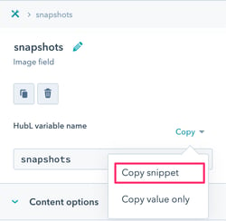 Repeating module fields and loops 